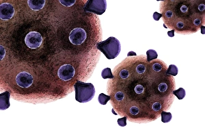 Microorganisms Gallery: Virus particles, artwork F007 / 8509