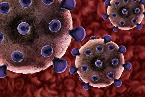 Microorganisms Gallery: Virus particles, artwork F007 / 8510