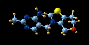 Vitamin B1, molecular model Vitamin B1, molecular model
