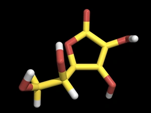 Vitamin C Vitamin C