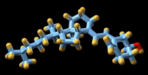 Vitamin D3, molecular model Vitamin D3, molecular model