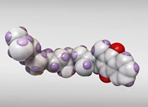 Vitamin K1 molecule C013 / 8902