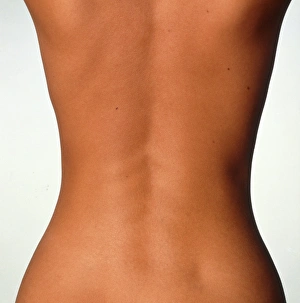 Womans back: posterior view of the torso Womans back: posterior view of the torso