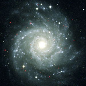 X-ray sources in M74, Chandra image X-ray sources in M74, Chandra image