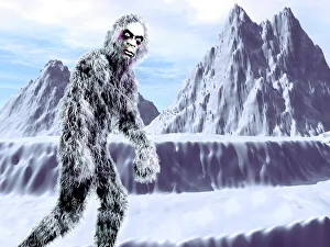 Yeti Yeti