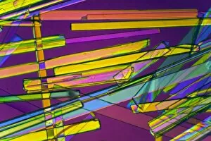 Polarised Light Micrograph Collection: Zeolite crystals, polarised LM