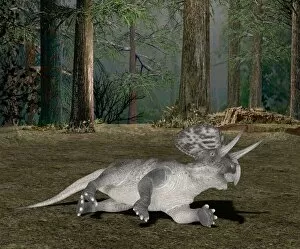 Ceratopsians Gallery: Zuniceratops, artwork