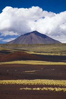Argentina, Mendoza, Parque Provincial Payunia. The barren volcanic landscape of Argentina, Mendoza, Parque Provincial Payunia. The barren volcanic landscape of