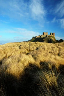 Images Dated 3rd April 2006: England Northumberland Bamburgh Castle. Sand dunes and vegetation near Bamburgh