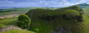 Hadrian's Wall Prints: Northumberland National Park Panoramic Print of Sycamore Gap