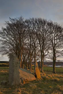 Scotland, Aberdeenshire, Tyrebagger Stone Circle Scotland, Aberdeenshire, Tyrebagger Stone Circle