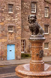 Scotland, Edinburgh, Greyfriars Bobby. Statue of Greyfriars Bobby, the famous loyal Scotland, Edinburgh, Greyfriars Bobby. Statue of Greyfriars Bobby, the famous loyal