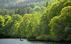 Scotland, Perth and Kinross, Pitlochry. Fishing from a boat on Loch Faskally, surrounded by a dense forest Scotland, Perth and Kinross, Pitlochry. Fishing from a boat on Loch Faskally