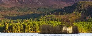 Images Dated 10th April 2009: Scotland, Scottish Highlands, Cairngorms National Park. Castle located on Loch an Eilein