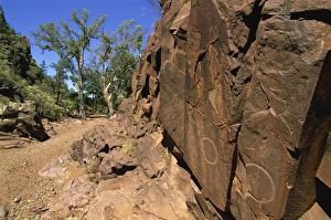 Rock Art Gallery: Adnjamathanha Aboriginal engravings, Sacred Canyon, Flinders Range, South Australia