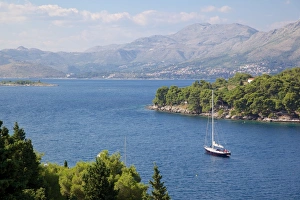 Adriatic coastline, Cavtat, Dubrovnik Riviera, Dalmatian Coast, Dalmatia, Croatia, Europe Adriatic coastline, Cavtat, Dubrovnik Riviera, Dalmatian Coast, Dalmatia, Croatia, Europe