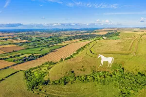Country Gallery: Aerial view of the famous White Horse below Bratton Camp