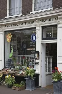 Netherlands Gallery: Amsterdam Tulip Museum, Jordaan, Amsterdam, Netherlands, Europe