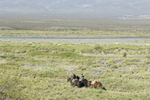 Argentine cowboys in the pampas, near Malargue, Argentina, South America Argentine cowboys in the pampas, near Malargue, Argentina, South America