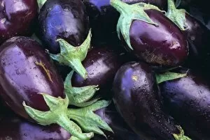 Related Images Gallery: Aubergines