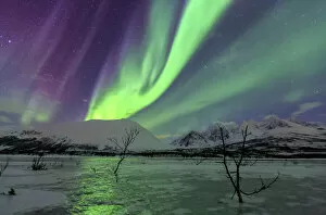 Flare Gallery: Aurora Borealis on the frozen lagoon of Jaegervatnet, Stortind, Lyngen Alps, Troms