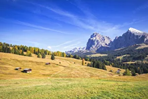 Images Dated 7th December 2019: Autumn color at Seiser Alm, Dolomites, province of Bolzano, South Tirol, Italy, Europe