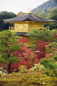Autumn colour leaves, Golden Temple, Kinkaku ji (Kinkakuji), dating from 1397 Autumn colour leaves, Golden Temple, Kinkaku ji (Kinkakuji), dating from 1397
