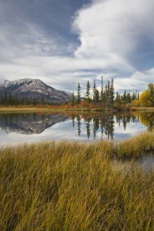 Autumn foliage and mountain lake, Icefields Parkway, Jasper National Park, UNESCO Autumn foliage and mountain lake, Icefields Parkway, Jasper National Park, UNESCO