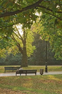 Hyde Park Gallery: Autumn, Hyde Park, London, England, United Kingdom, Europe