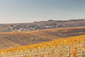 Autumn in the vineyards of Chablis, Burgundy, France, Europe Autumn in the vineyards of Chablis, Burgundy, France, Europe