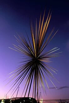 Single Object Gallery: B of the Bang, modern steel sculpture, City of Manchester Stadium, Manchester