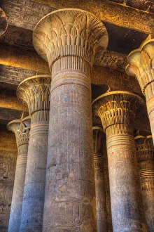 Bas Reliefs, Columns, Hypostyle Hall, Temple of Khnum, Esna, Egypt, North Africa, Africa Bas Reliefs, Columns, Hypostyle Hall, Temple of Khnum, Esna, Egypt, North Africa, Africa