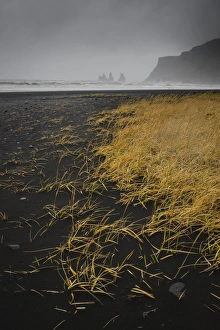 Basalt rock formations (sea stacks) and black sand beach in Vik, Iceland, Polar Regions Basalt rock formations (sea stacks) and black sand beach in Vik, Iceland, Polar Regions