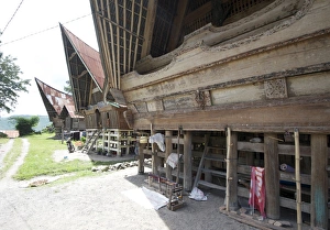 Batak style village houses in Buhit, a weavers village in rural Samosir Island, Lake Toba Batak style village houses in Buhit, a weavers village in rural Samosir Island, Lake Toba