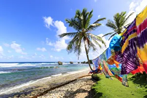 Bathsheba, colourful garments blow in the breeze, windswept palm trees, Atlantic waves Bathsheba, colourful garments blow in the breeze, windswept palm trees, Atlantic waves