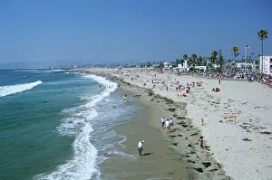 Entertainment Gallery: The beach at Ocean Beach