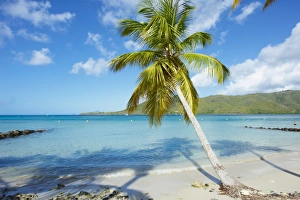 North America Gallery: Martinique Collection