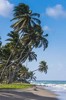 The beach of Sauteurs, Grenada, Windward Islands, West Indies, Caribbean, Central America The beach of Sauteurs, Grenada, Windward Islands, West Indies, Caribbean, Central America