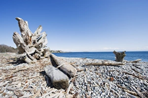 A beach on the Strait of Juan de Fuca, Victoria, Vancouver Island, British Columbia A beach on the Strait of Juan de Fuca, Victoria, Vancouver Island, British Columbia