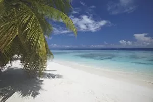 Maldives Gallery: Empty beach on tropical island, Maldives, Indian Ocean, Asia