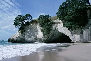 Auckland Gallery: Beach, white chalk cliffs
