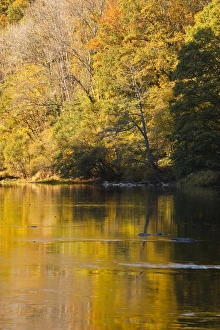 Beautiful autumn colours reflecting in the River Creuse, a favourite area of the river of the artist Claude Monet Beautiful autumn colours reflecting in the River Creuse, a favourite area of the river of the artist Claude Monet