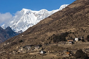 The beautiful village of Laya in the Himalayas, Bhutan, Asia The beautiful village of Laya in the Himalayas, Bhutan, Asia