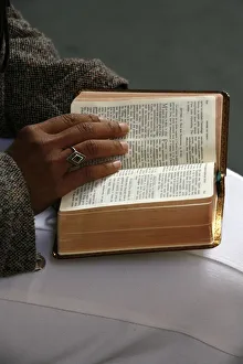 Bible reading, Fontainebleau, Seine-et-Marne, France, Europe Bible reading, Fontainebleau, Seine-et-Marne, France, Europe