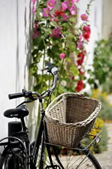 Images Dated 21st June 2009: Bicycle with basket and hollyhocks, Ars-en-Re, Ile de Re, Charente-Maritime
