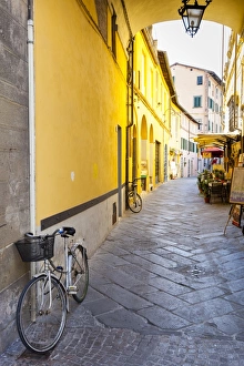 Bicycle Print at Via Degli Angeli, Lucca