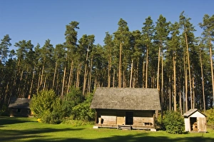 Prints of Birchwood roofed house, one of the traditional buildings from rural life in the Latvian Ethnographic Open-Air Museum, Riga, Latvia, Baltic States, Europe Latvia Prints: Birchwood Roofed House Print