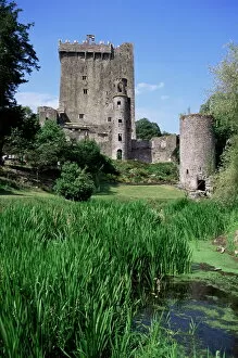 Ireland Collection: Blarney Castle