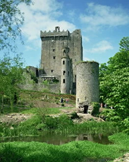 Images Dated 10th April 2008: Blarney Castle, County Cork, Munster, Republic of Ireland, Europe
