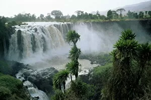 Images Dated 3rd January 2000: Blue Nile Falls, near Lake Tana, Gondar region, Ethiopia, Africa
